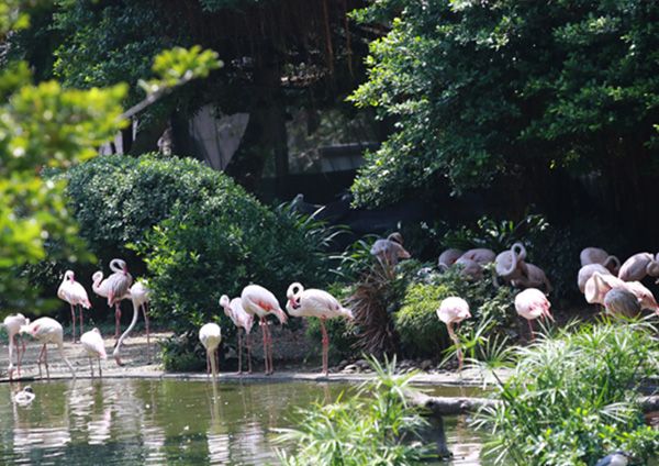 Hong Kong Great Outdoors